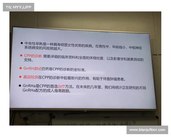 最新补丁解读与新赛季平衡调整全面指南 最新补丁解读与新赛季平衡调整全面指南