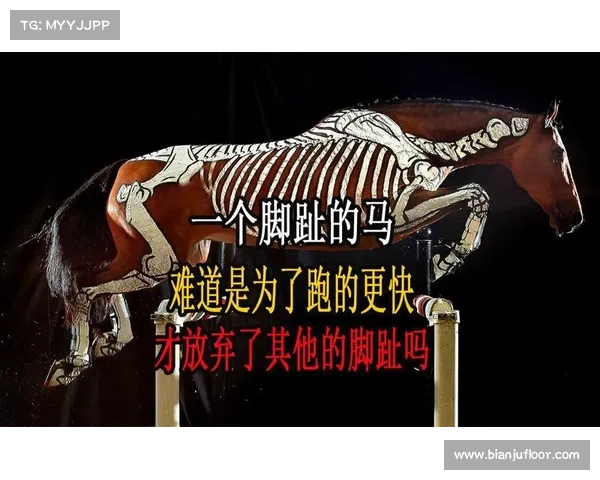 马脚趾结构揭秘:与其他动物的比较 马脚趾结构揭秘:与其他动物的比较