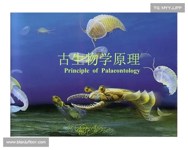 揭秘古生物学研究中的传统方法及其现代应用与挑战 揭秘古生物学研究中的传统方法及其现代应用与挑战